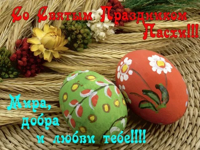img_magda_891_0.webp