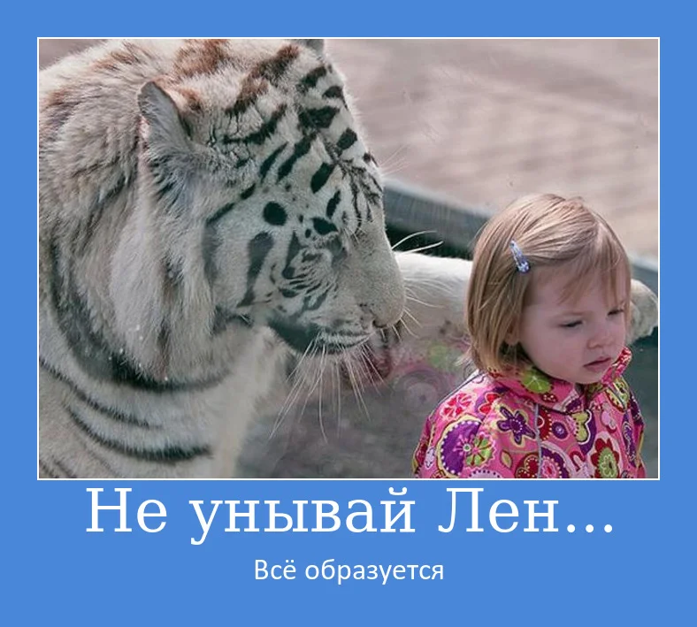 imgonline-com-ua-demotivatorS3qEkWb0gUNt.webp