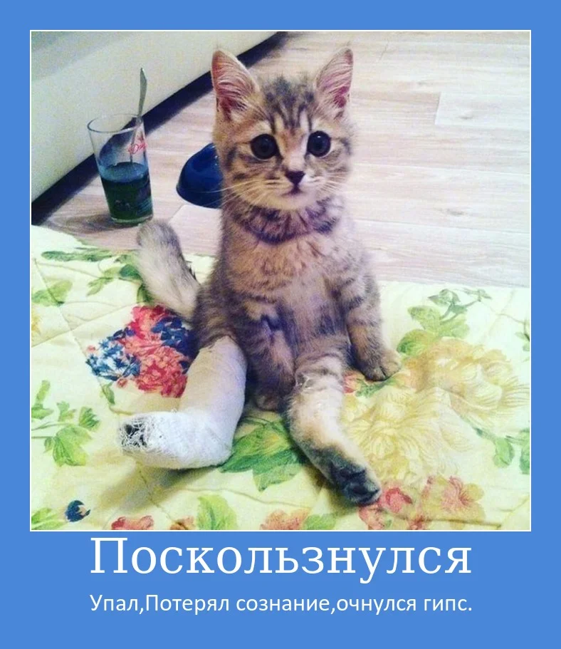 imgonline-com-ua-demotivatorUrcXvquVEoKr.webp