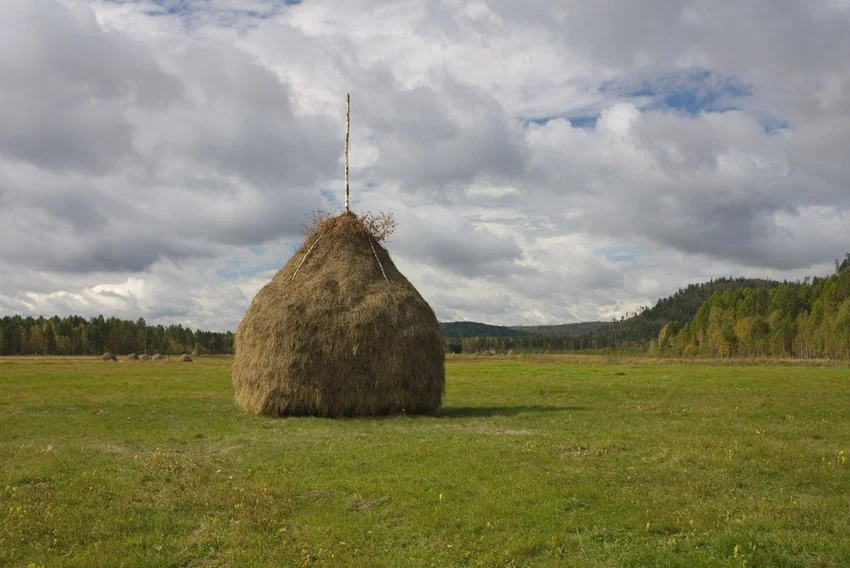imgp9265-34-s-haystack.webp