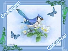 imgpreview (10).webp