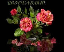 imgpreview (12).webp