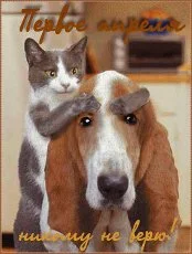 imgpreview (14).webp