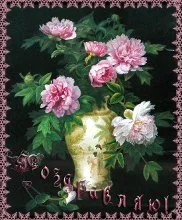 imgpreview (14).webp