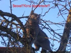 imgpreview (15).webp