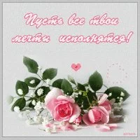 imgpreview (15).webp