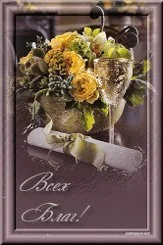 imgpreview (16).webp