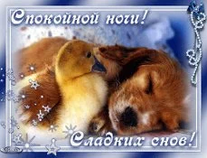 imgpreview (17).webp