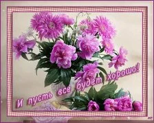 imgpreview (20).webp