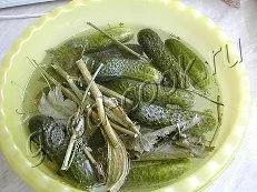 imgpreview (66).webp