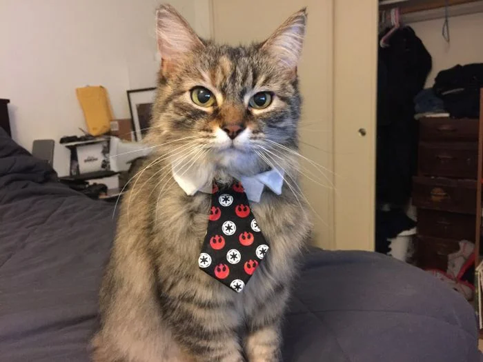 imgs_touch (10).webp