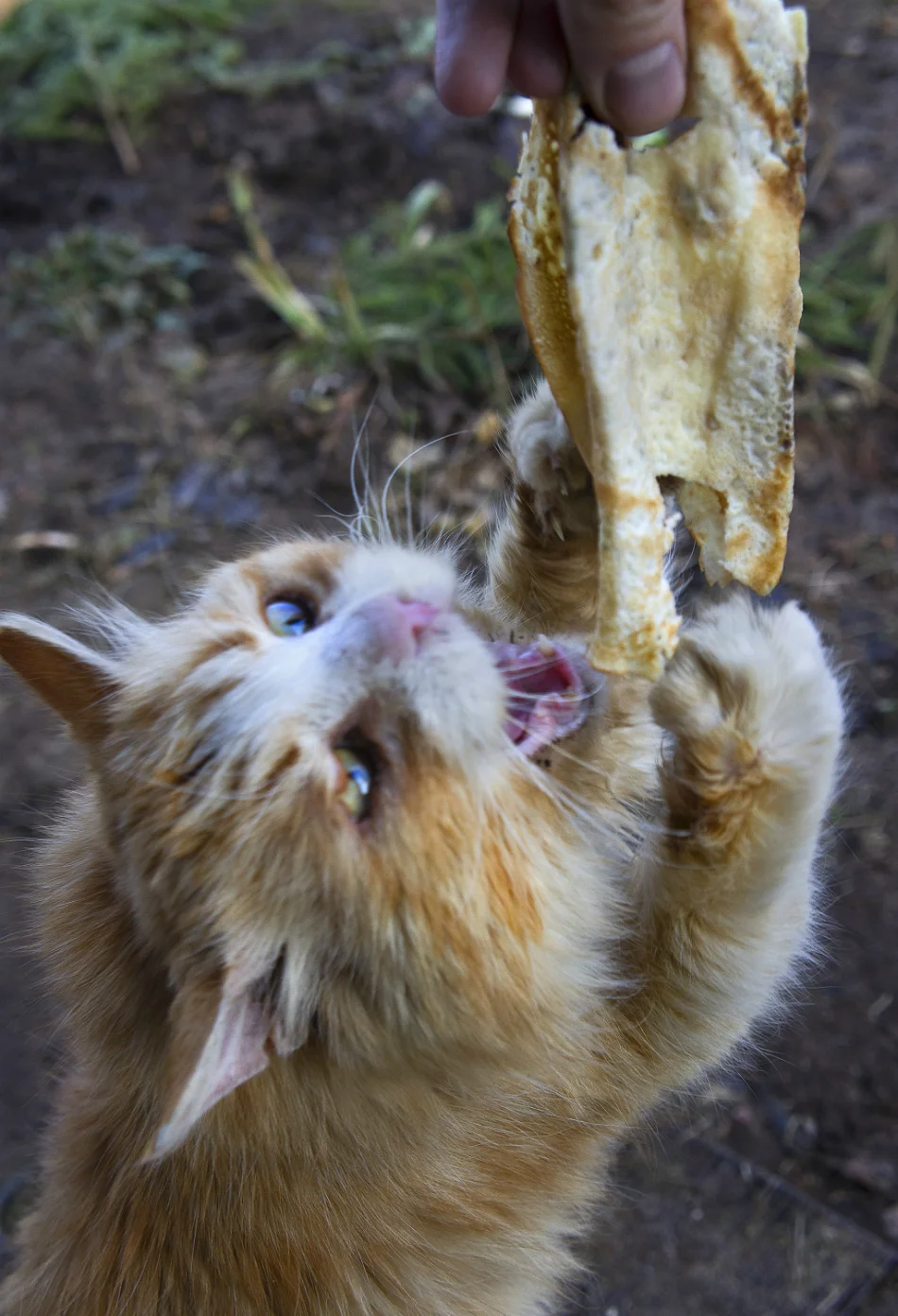 imgs_touch (10).webp