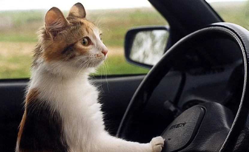 imgs_touch (100).webp