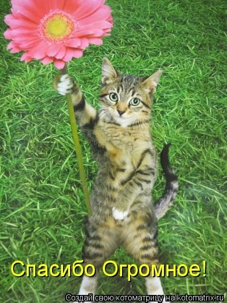 imgs_touch (11).webp