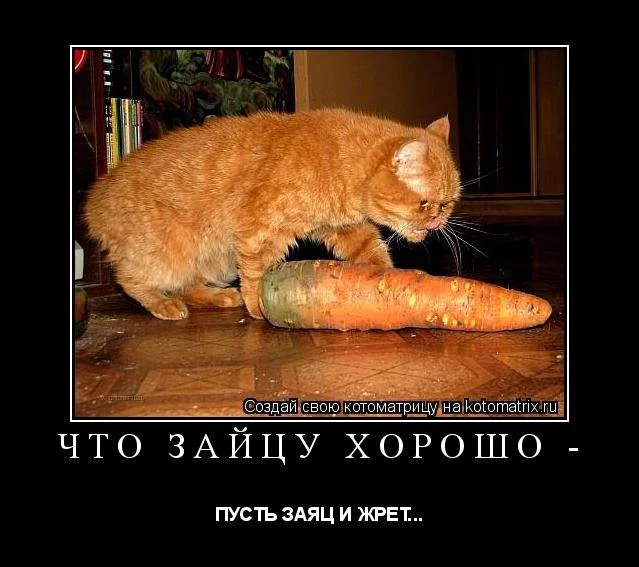 imgs_touch (12).webp