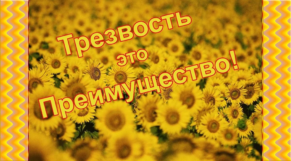 imgs_touch (13).webp