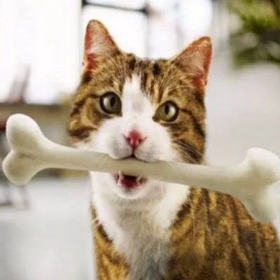 imgs_touch (13).webp