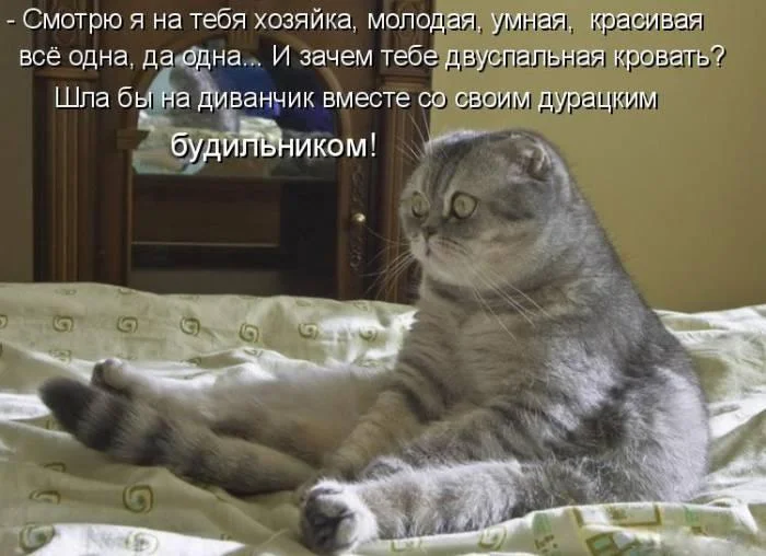 imgs_touch (13).webp