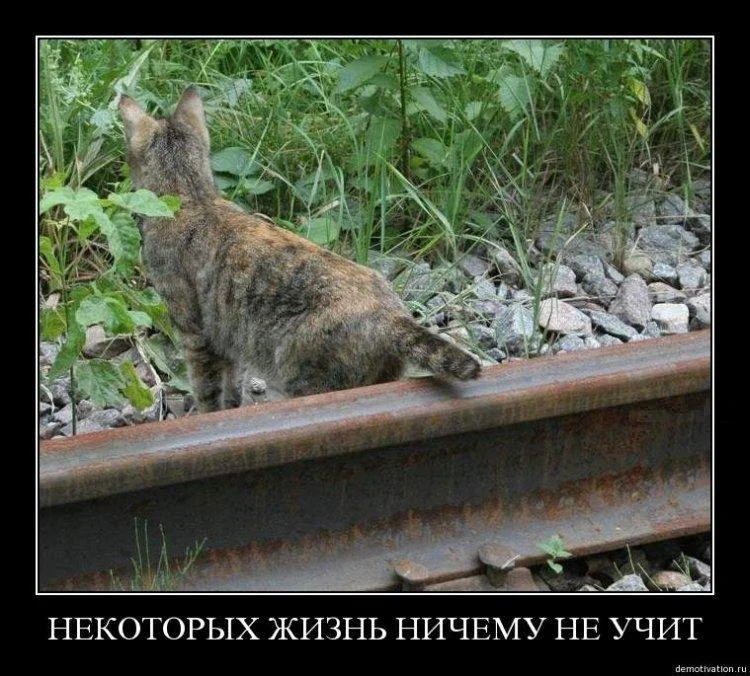 imgs_touch (14).webp