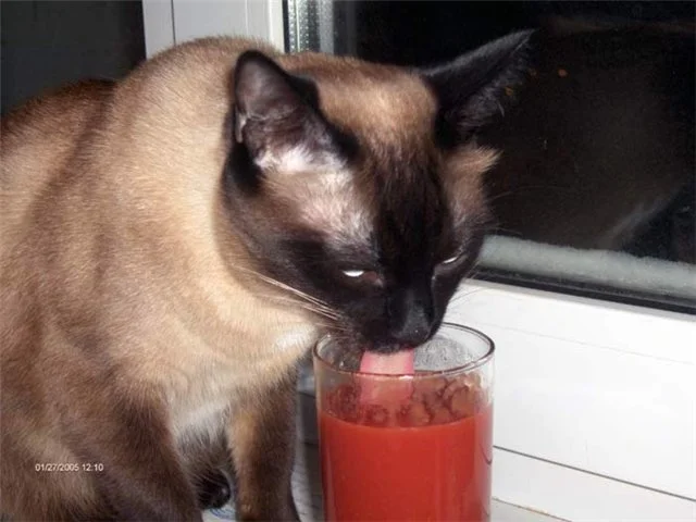 imgs_touch (14).webp