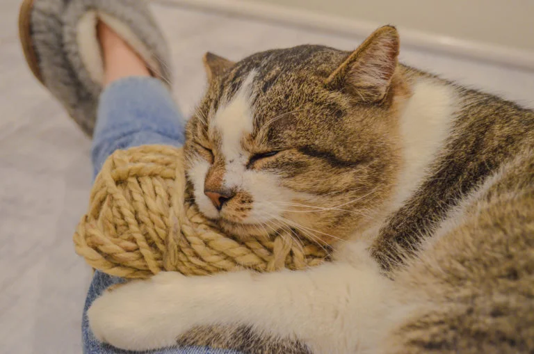 imgs_touch (15).webp