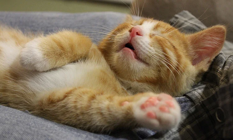 imgs_touch (15).webp