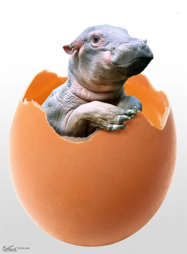 imgs_touch (16).webp