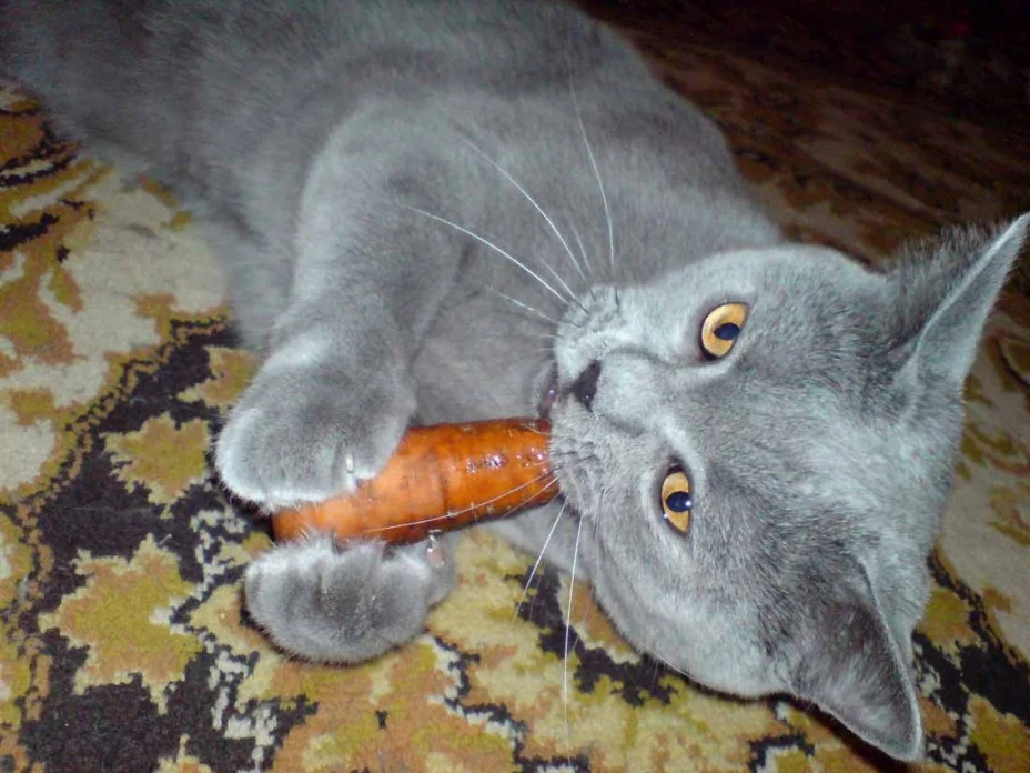 imgs_touch (16).webp