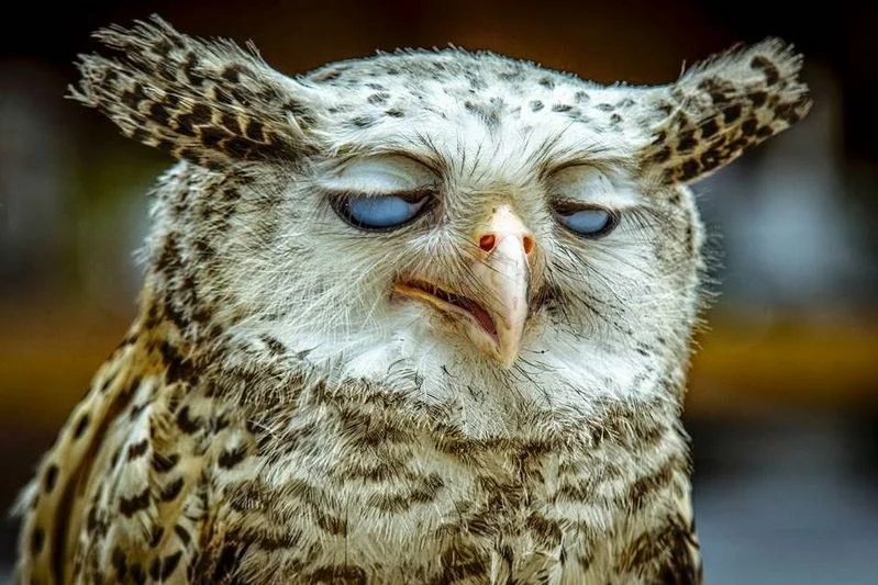 imgs_touch (17).webp