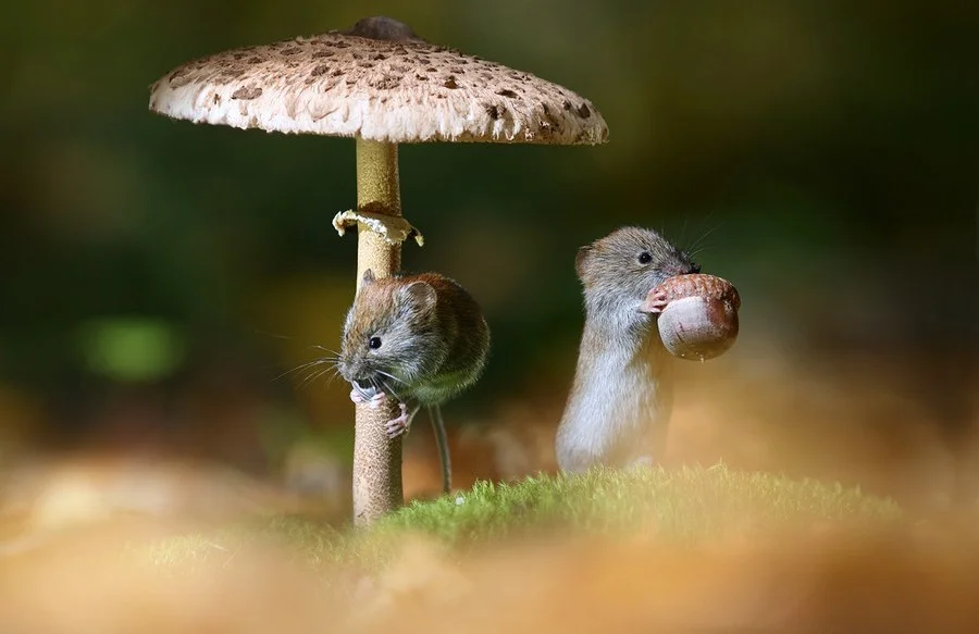 imgs_touch (17).webp