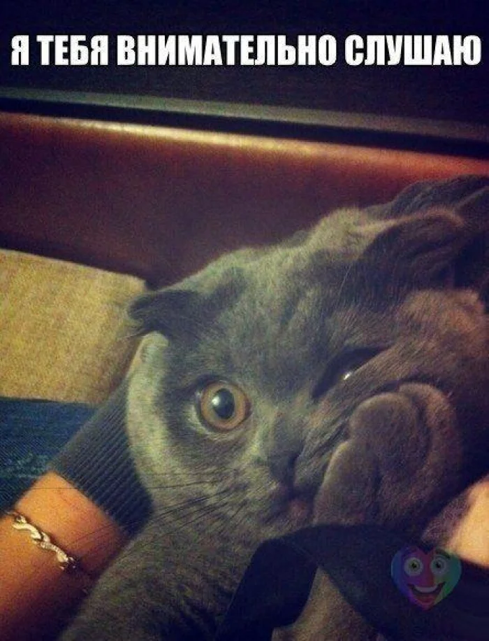 imgs_touch (18).webp