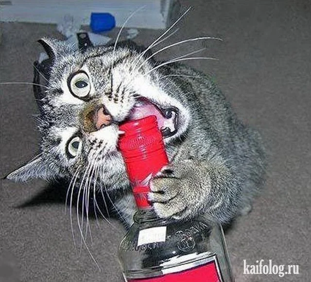 imgs_touch (19).webp