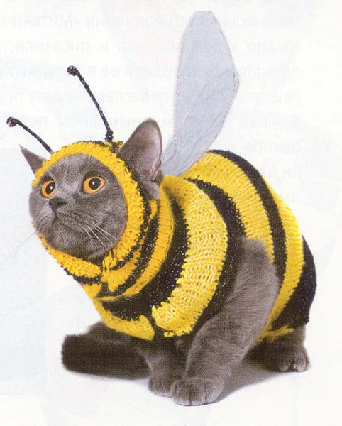 imgs_touch (19).webp