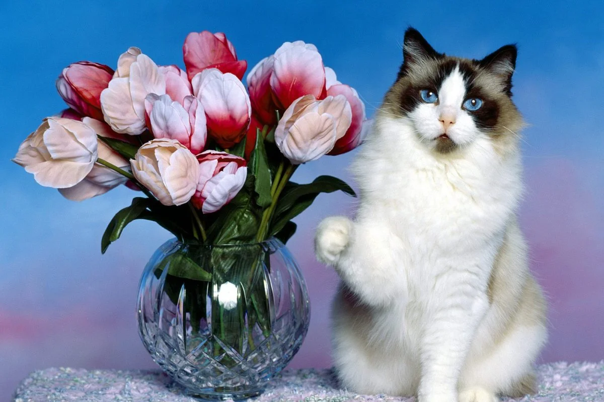 imgs_touch (20).webp