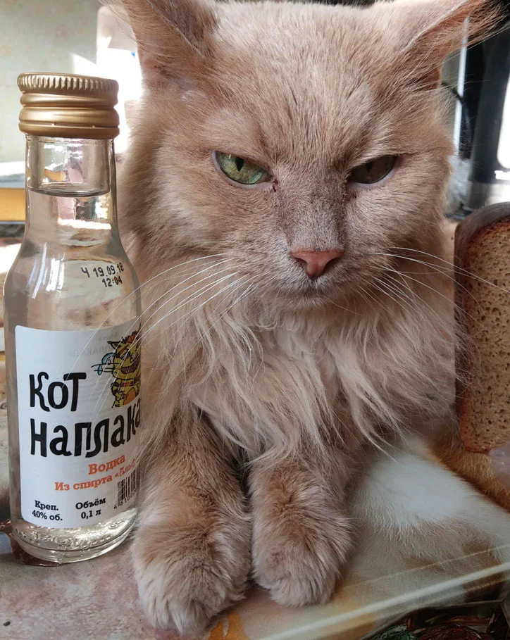 imgs_touch (21).webp