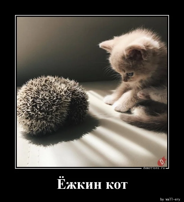 imgs_touch (22).webp