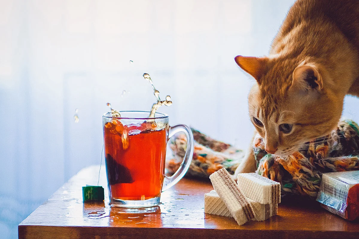 imgs_touch (23).webp