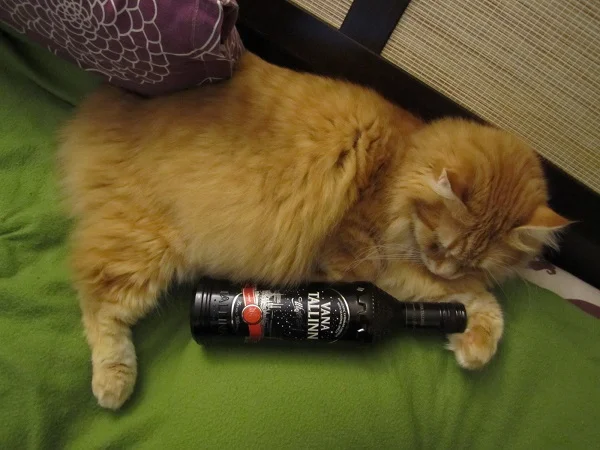 imgs_touch (24).webp