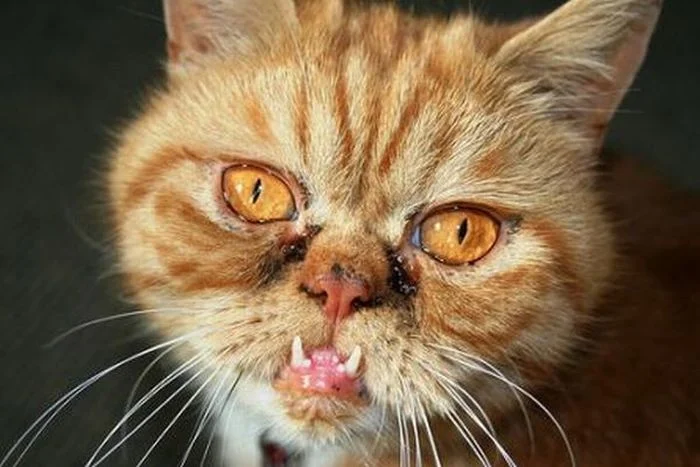 imgs_touch (25).webp