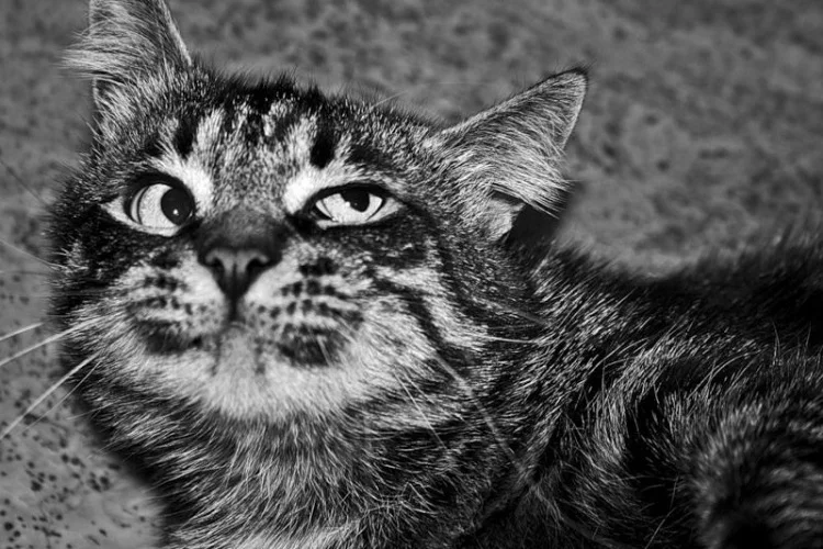 imgs_touch (25).webp