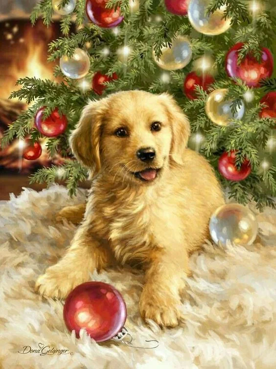 imgs_touch (26).webp