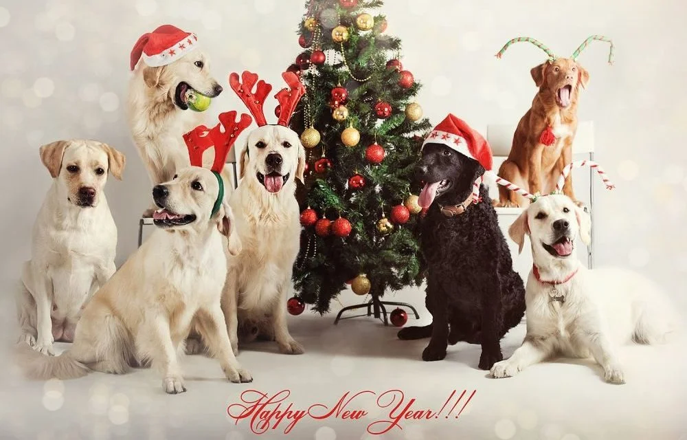 imgs_touch (27).webp