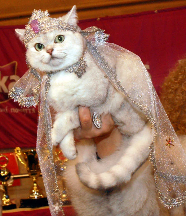 imgs_touch (28).webp