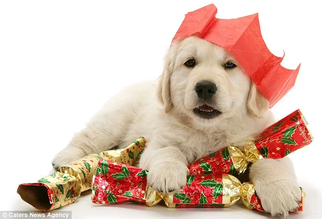 imgs_touch (29).webp