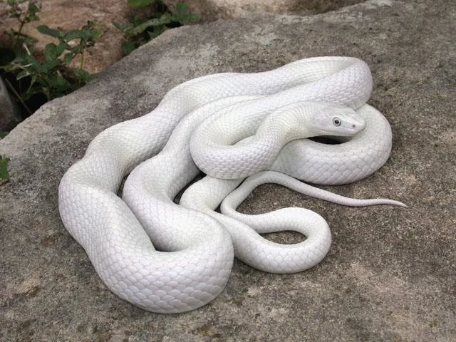 imgs_touch (30).webp