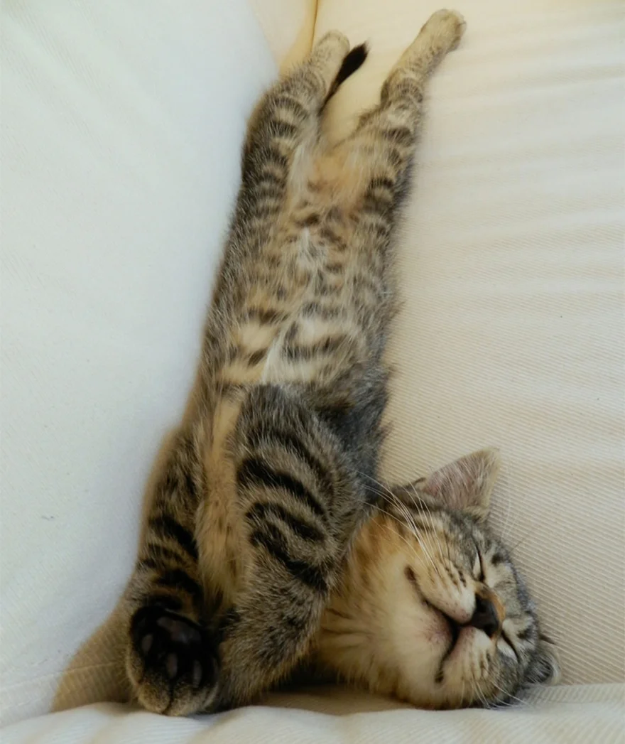 imgs_touch (30).webp