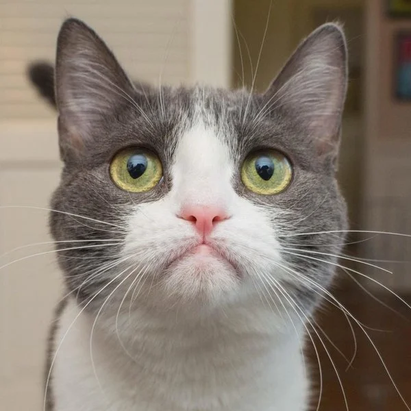 imgs_touch (33).webp