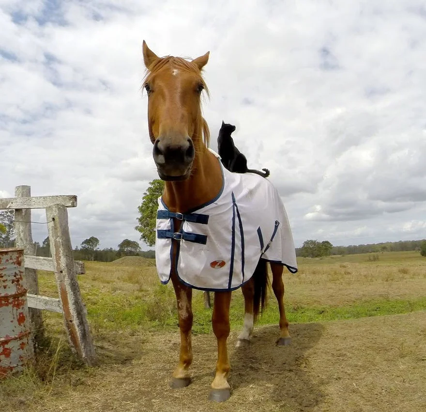 imgs_touch (34).webp