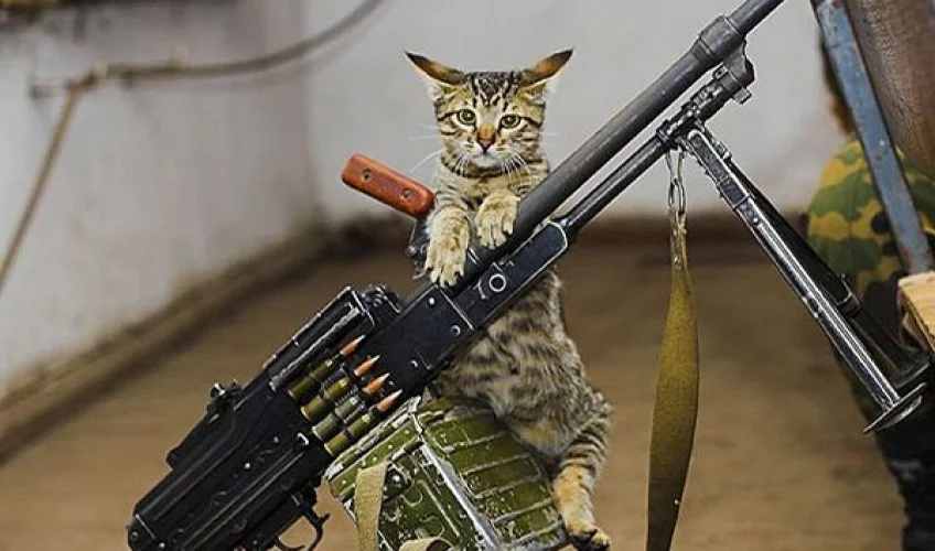 imgs_touch (35).webp