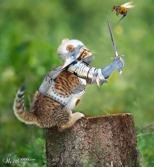 imgs_touch (36).webp